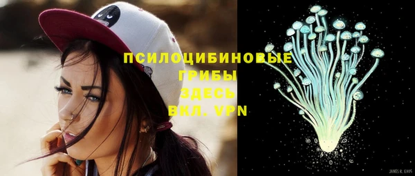 спиды Белокуриха