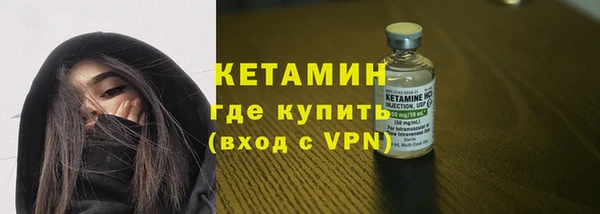 сатива Беломорск
