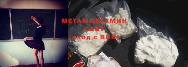 сатива Беломорск