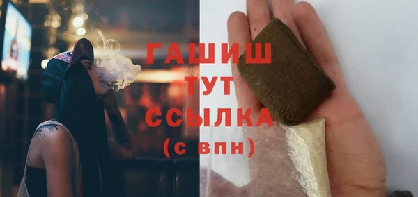сатива Беломорск