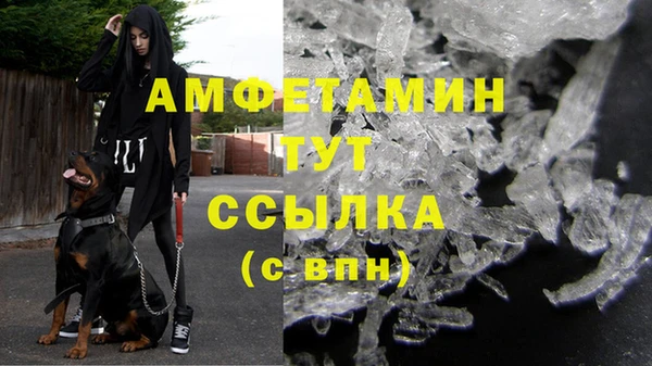 сатива Беломорск