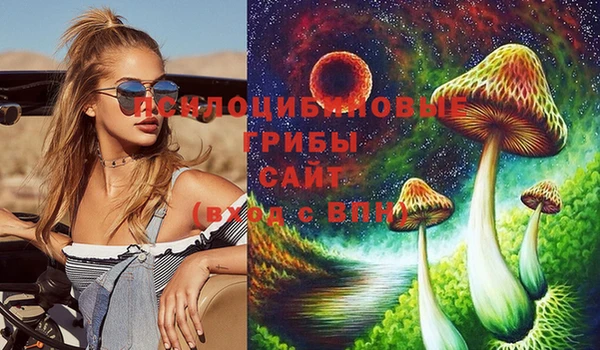 сатива Беломорск