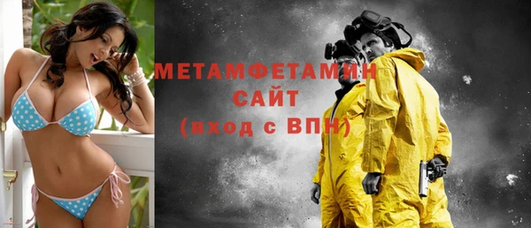 сатива Беломорск