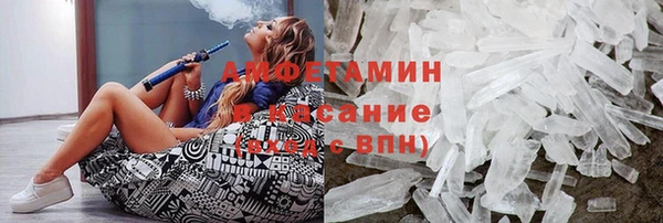 сатива Беломорск
