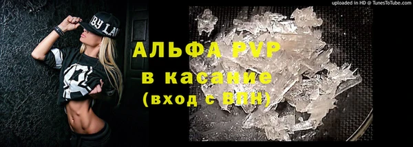 сатива Беломорск