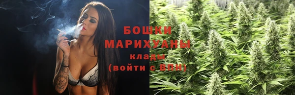 сатива Беломорск