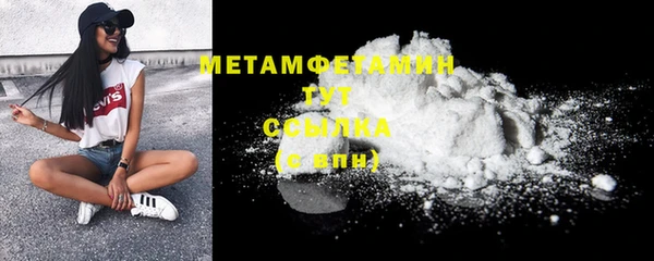 сатива Беломорск