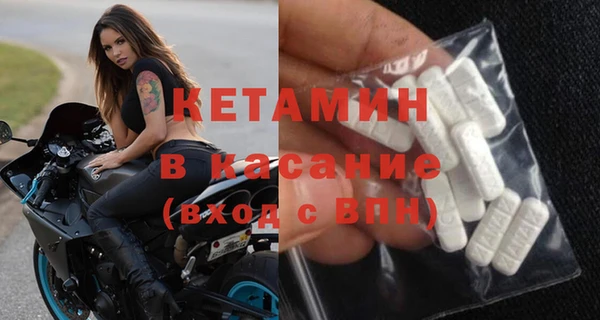 сатива Беломорск