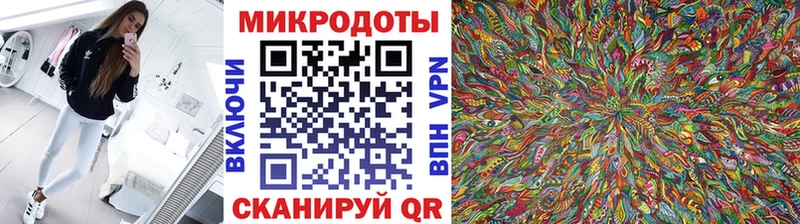Псилоцибиновые грибы Psilocybine cubensis Сегежа