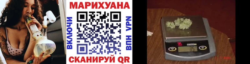 наркотики  Сегежа  Марихуана OG Kush 